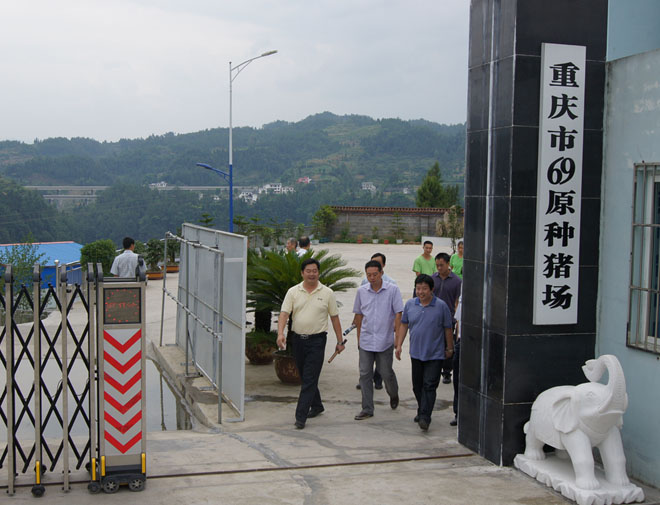 國家鄉(xiāng)村振興局副局長、原黔江區(qū)委書記洪天云視察重慶69