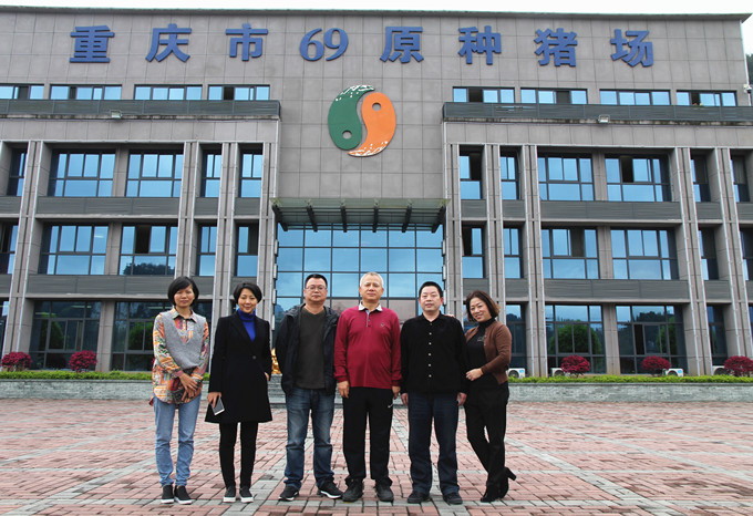 國家生豬產(chǎn)業(yè)技術體系首席科學家陳瑤生教授、壹號土豬總裁黎小兵蒞臨69指導交流